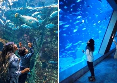 Istanbul Aquarium Tour