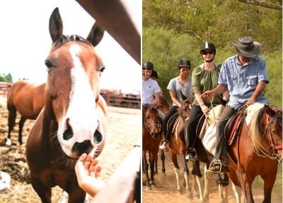 Belek Horse Riding