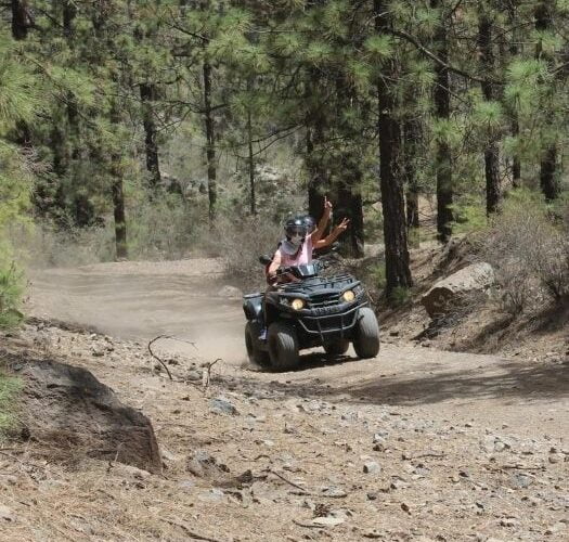 Forest Explorer Quad Tenerife